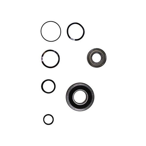 Pump Repair Kits- Kit, Ball Bearing 7308.BE.SYN/6206.SY6, Spare Part.